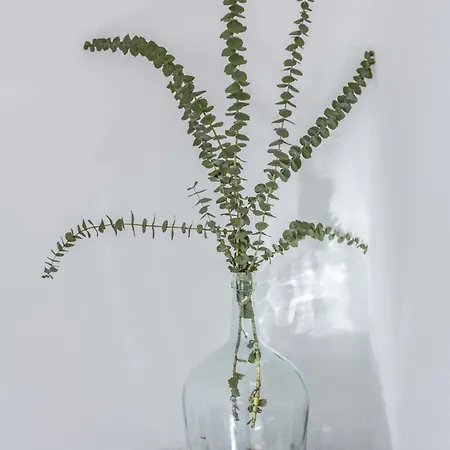 Soalheiro No Bairro Alto / Chiado