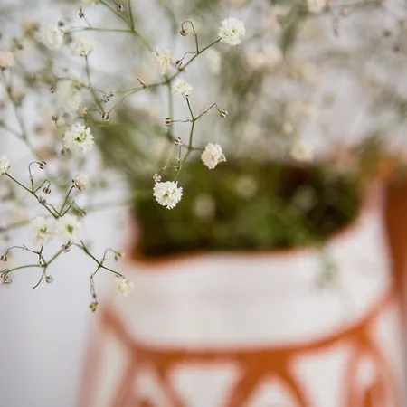 Апартаменти Soalheiro No Bairro Alto / Chiado